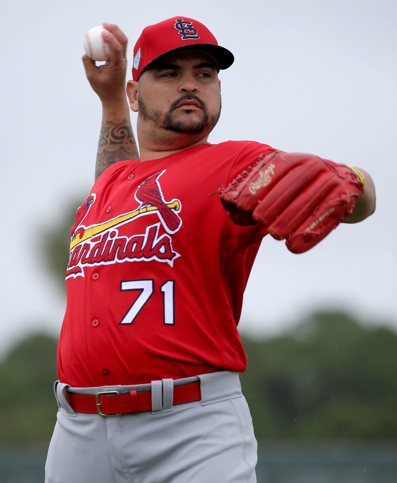 Cardinals spring training
